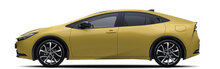 2023- (XW6)