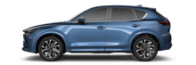 2022- SUV