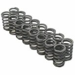 Ressorts de soupape (ressort simple) Brian Crower Honda