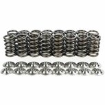 Valve springs + titanium valve seats - Race &amp; limited street use Brian Crower Honda