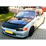 Bonnet stone chip cover Masterbra Honda