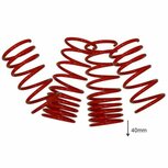Tieferlegungsfedern 40 mm US-Racing Honda
