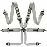 6-punts gordel Pro Plus FIA - Zilver QSP