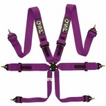 6-punts gordel Pro Plus FIA - Paars QSP