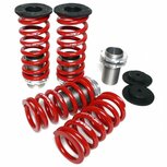 Ressorts d'abaissement r&eacute;glables (Standard) Skunk2 Honda