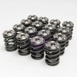Valve springs + titanium valve discs Alpha Series Skunk2 Honda