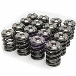 Ventilfedern + Titan-Ventilscheiben der Alpha-Serie Skunk2 Honda