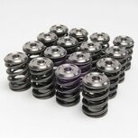 Ventilfedern + Titan-Ventilscheiben der Alpha-Serie Skunk2 Honda