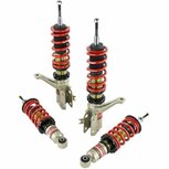 Tieferlegungssatz Pro-S II Skunk2 Honda