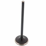 Inlet valve DNJ Honda