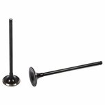 Inlet Valve - Standard DNJ Honda