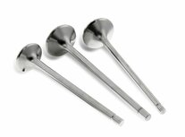 Uitlaat Klep Competition Plus Ferrea Toyota Corolla MR2