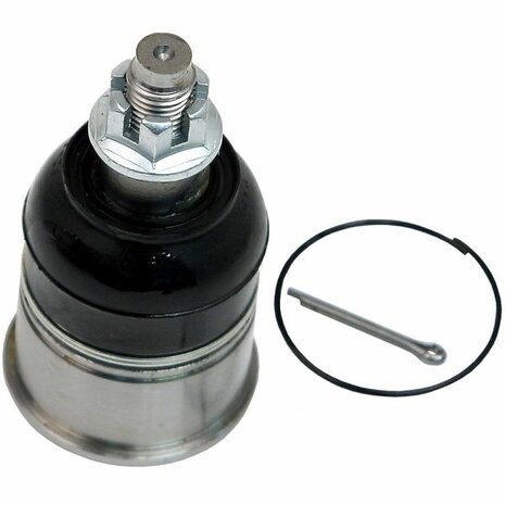 Ball joint front bottom Beck/Arnley Honda