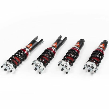 Coilover Kit - NeoMAX Super Low Silvers Honda