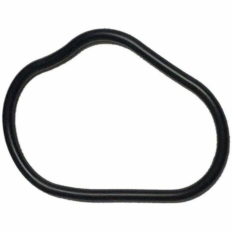 Kettenschutz-O-Ring Genuine Honda