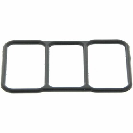 Dichtung des Leerlaufluftregelventils (IACV) Genuine Honda