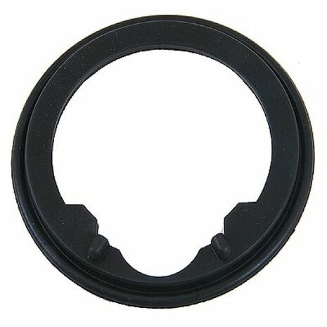 Thermostatdichtung Genuine Honda