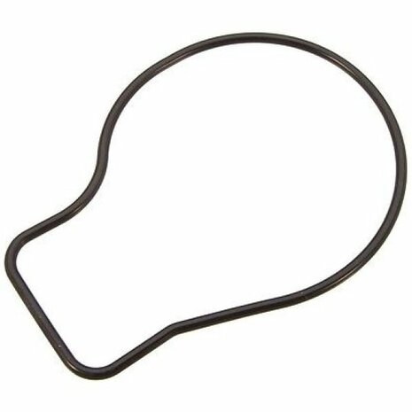 Water pump gasket Genuine Honda