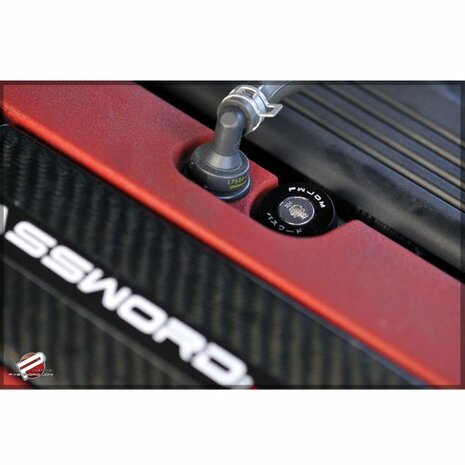 Ventildeckelringe - Gr&uuml;n Password JDM Honda
