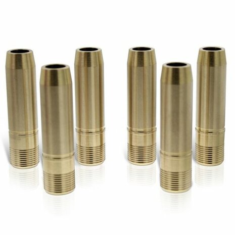 Intake valve guides Ferrea
