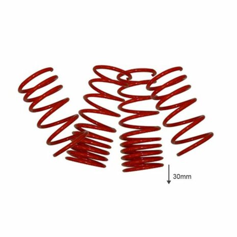 Lowering springs -30mm US-Racing Honda