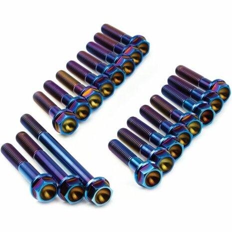 Transmission housing bolt set - burnished titanium SpeedFactory Honda