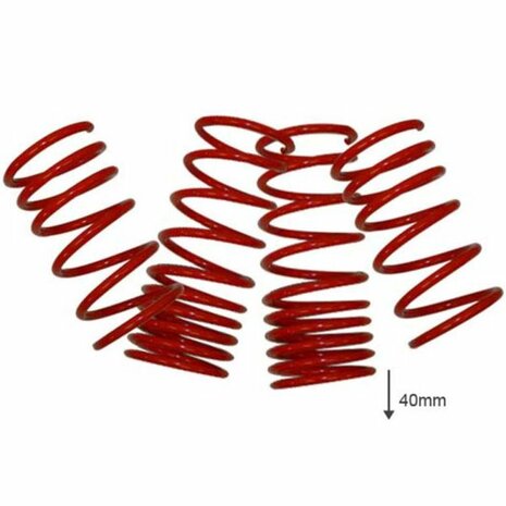 Lowering springs 40mm US-Racing Honda
