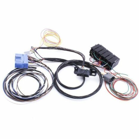 Faisceau de c&acirc;bles de conversion de moteur universel K-swap Hybrid Racing