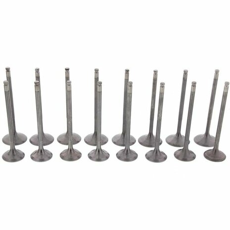 Valves Alpha Series standard compression Skunk2 Honda B-series