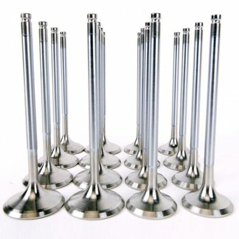 Kleppen Alpha Series standaard compressie Skunk2 Honda