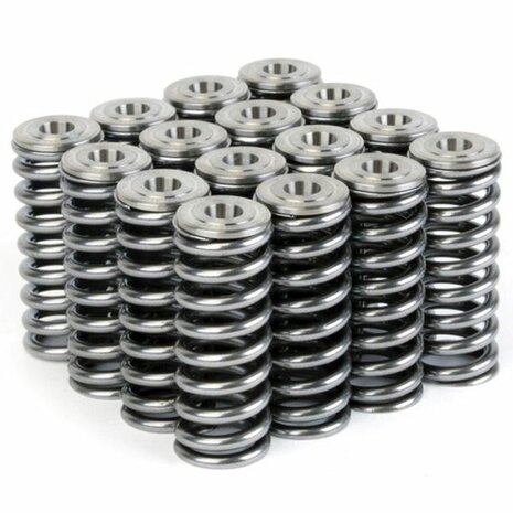 Klepveren + titanium klepschotels Alpha Series Skunk2 Honda