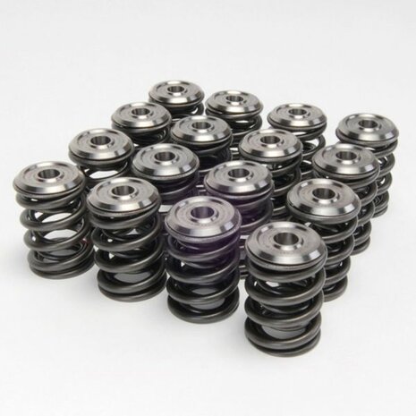 Ressorts de soupape + disques de soupape en titane S&eacute;rie Alpha Skunk2 Honda
