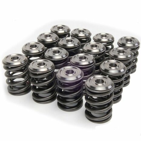 Valve springs + titanium valve discs Alpha Series Skunk2 Honda