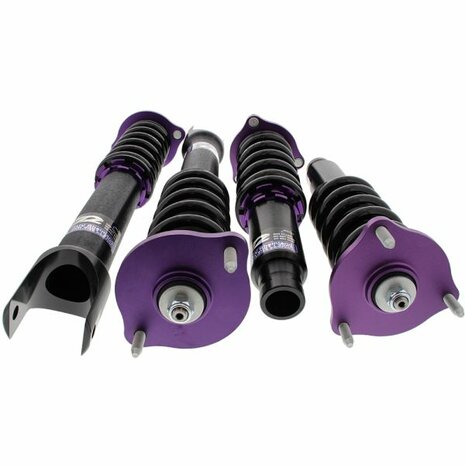 Coilovers - Street (RS series) D2 Racing Honda