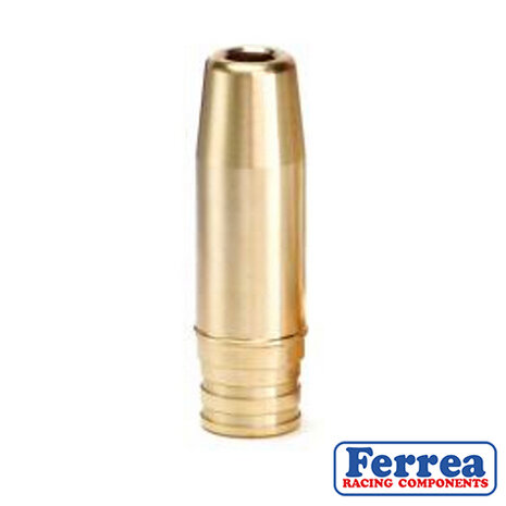 Ventilf&uuml;hrung Bronze Ferrea Nissan 350Z
