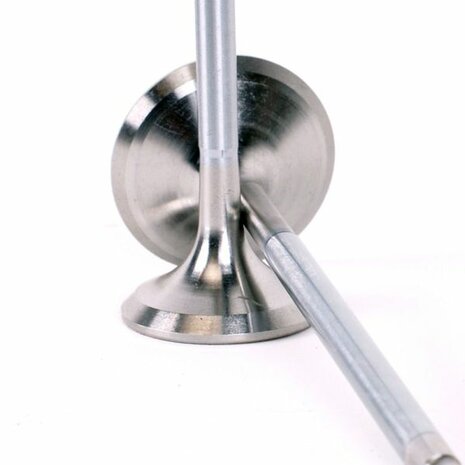 Valves Alpha Series standard compression Skunk2 Honda B-series