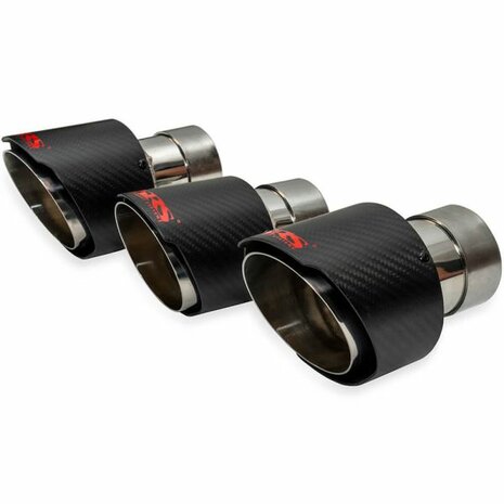 Catback-Auspuffanlage R60 Carbonspitzen SRS Honda Civic Type R