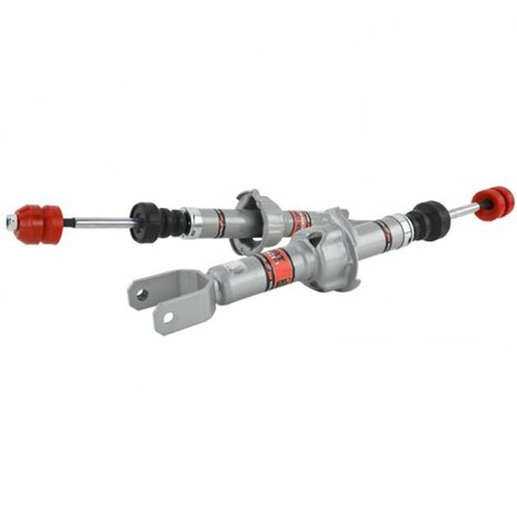 Sportsto&szlig;d&auml;mpfer-Set Skunk2 Honda Civic CRX Shuttle