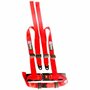 Ceinture 4 points - Rouge D1 Spec