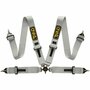 4-Punkt-Gurt 3&#039;&#039; ohne FIA - Silber QSP